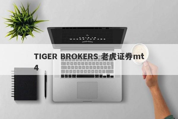 TIGER BROKERS 老虎证券mt4