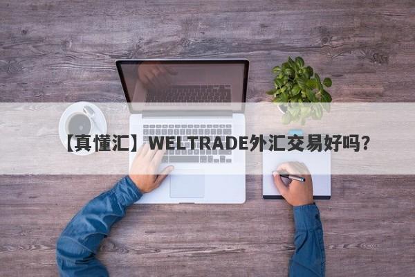 【真懂汇】WELTRADE外汇交易好吗？
