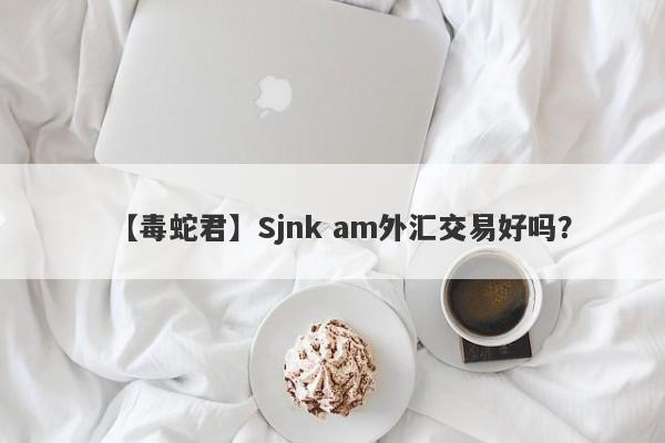 【毒蛇君】Sjnk am外汇交易好吗？
