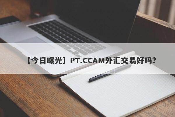 【今日曝光】PT.CCAM外汇交易好吗？
