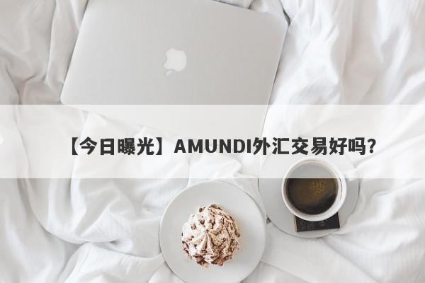 【今日曝光】AMUNDI外汇交易好吗？
