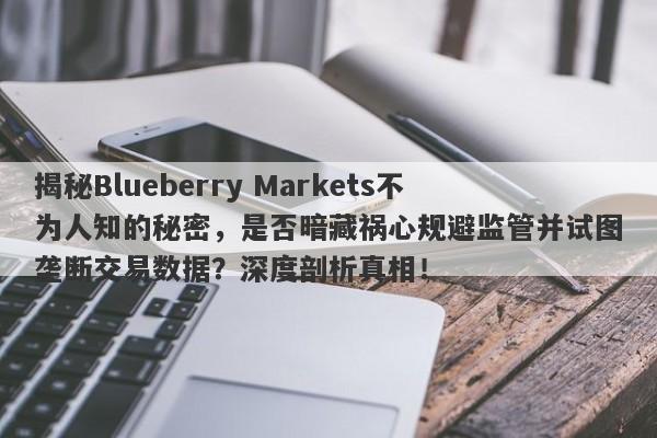 揭秘Blueberry Markets不为人知的秘密，是否暗藏祸心规避监管并试图垄断交易数据？深度剖析真相！