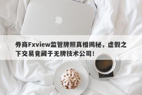 券商Fxview监管牌照真相揭秘，虚假之下交易竟藏于无牌技术公司！