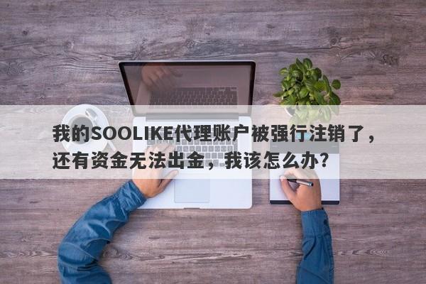 我的SOOLIKE代理账户被强行注销了，还有资金无法出金，我该怎么办？