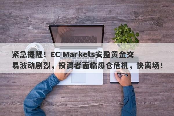 紧急提醒！EC Markets安盈黄金交易波动剧烈，投资者面临爆仓危机，快离场！