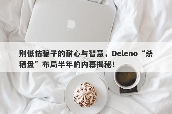 别低估骗子的耐心与智慧，Deleno“杀猪盘”布局半年的内幕揭秘！