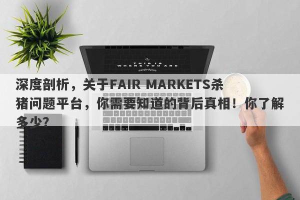 深度剖析，关于FAIR MARKETS杀猪问题平台，你需要知道的背后真相！你了解多少？