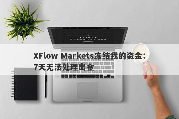 XFlow Markets冻结我的资金：7天无法处理出金