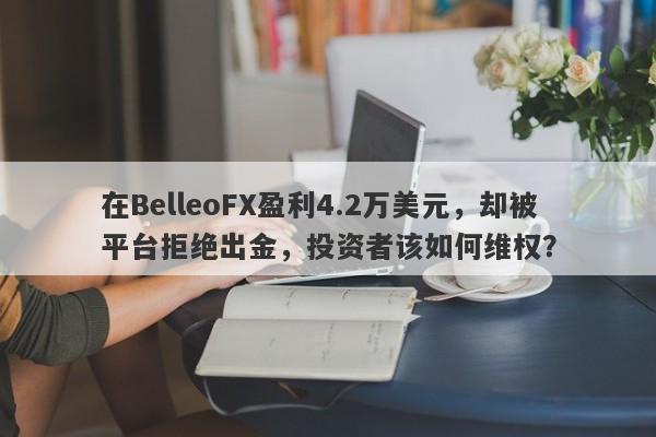 在BelleoFX盈利4.2万美元，却被平台拒绝出金，投资者该如何维权？