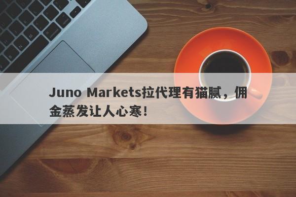 Juno Markets拉代理有猫腻，佣金蒸发让人心寒！