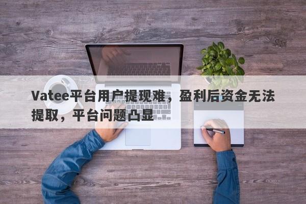 Vatee平台用户提现难，盈利后资金无法提取，平台问题凸显