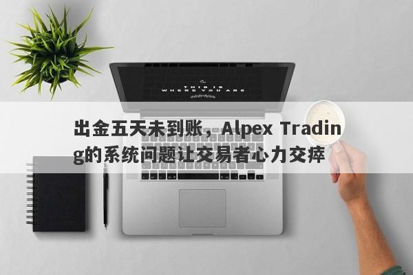 出金五天未到账，Alpex Trading的系统问题让交易者心力交瘁