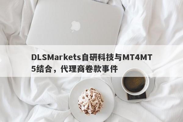 DLSMarkets自研科技与MT4MT5结合，代理商卷款事件