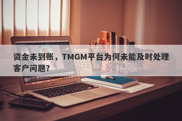 资金未到账，TMGM平台为何未能及时处理客户问题？