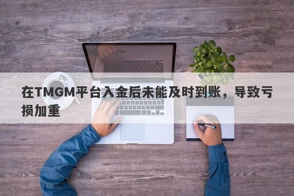 在TMGM平台入金后未能及时到账，导致亏损加重