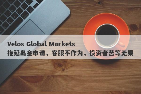 Velos Global Markets拖延出金申请，客服不作为，投资者苦等无果