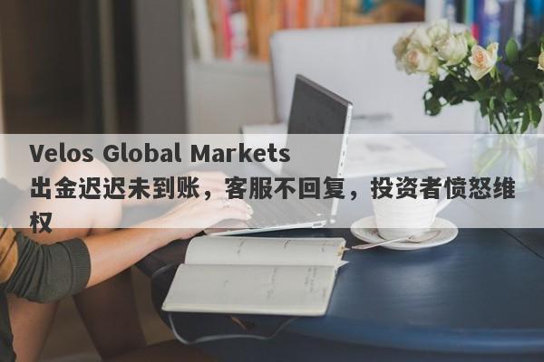 Velos Global Markets出金迟迟未到账，客服不回复，投资者愤怒维权