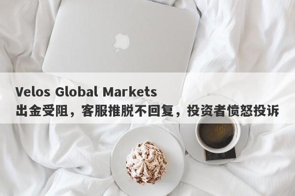 Velos Global Markets出金受阻，客服推脱不回复，投资者愤怒投诉