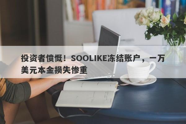 投资者愤慨！SOOLIKE冻结账户，一万美元本金损失惨重