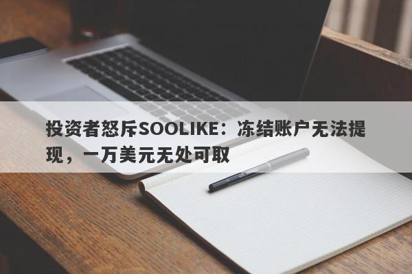 投资者怒斥SOOLIKE：冻结账户无法提现，一万美元无处可取