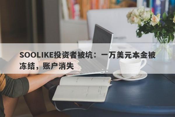 SOOLIKE投资者被坑：一万美元本金被冻结，账户消失