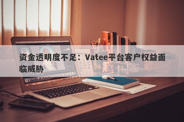 资金透明度不足：Vatee平台客户权益面临威胁